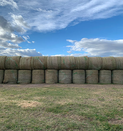 Hay for Sale at Hendrix Ranch