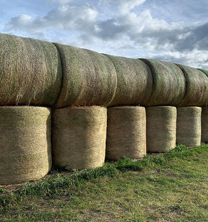 Hay for Sale at Hendrix Ranch