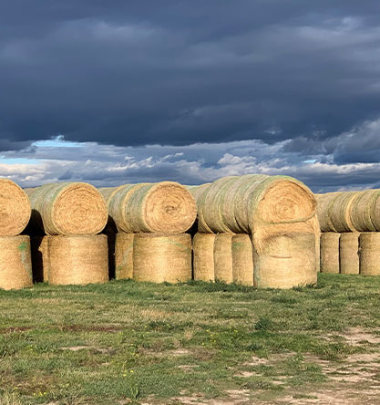 Hay for Sale at Hendrix Ranch